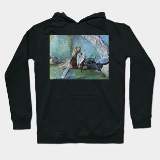 Anhinga Pt2 Hoodie